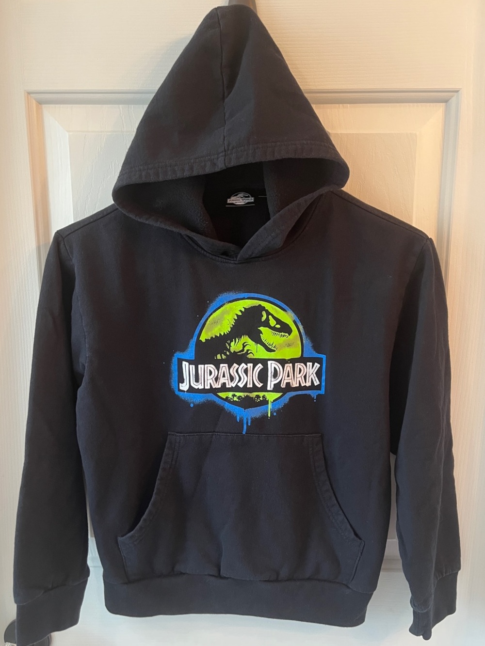 Kids Black Jurassic Park Hoodie
